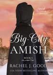 Book cover of Big-City Amish