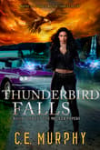 Book cover of Thunderbird Falls