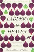 Book cover of Ladders to Heaven