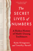 Book cover of The Secret Lives of Numbers