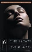 Book cover of The Escape