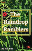 Book cover of The Raindrop Ramblers