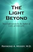 Book cover of The Light Beyond