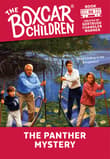 Book cover of The Panther Mystery