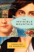 Book cover of The Invisible Mountain