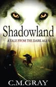Book cover of Shadowland