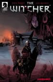 Book cover of The Witcher #2