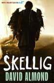 Book cover of Skellig