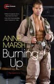 Book cover of Burning Up