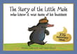 Book cover of The Story of the Little Mole Who Knew It Was None of His Business