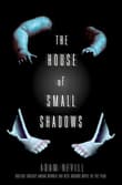 Book cover of The House of Small Shadows