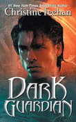 Book cover of Dark Guardian