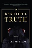 Book cover of A Beautiful Truth