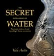Book cover of The Secret Intelligence of Water: Macroscopic Evidence of Water Responding to Human Consciousness