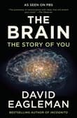 Book cover of The Brain: The Story of You