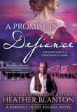 Book cover of A Promise in Defiance