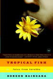 Book cover of Tropical Fish: Tales from Entebbe