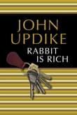 Book cover of Rabbit Is Rich