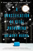 Book cover of A Constellation of Vital Phenomena