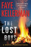 Book cover of The Lost Boys