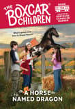 Book cover of A Horse Named Dragon