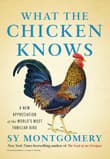 Book cover of What the Chicken Knows