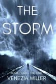 Book cover of The Storm