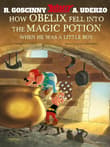 Book cover of How Obelix Fell Into the Magic Potion
