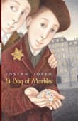 Book cover of A Bag of Marbles