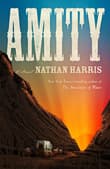 Book cover of Amity