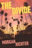 Book cover of The Divide