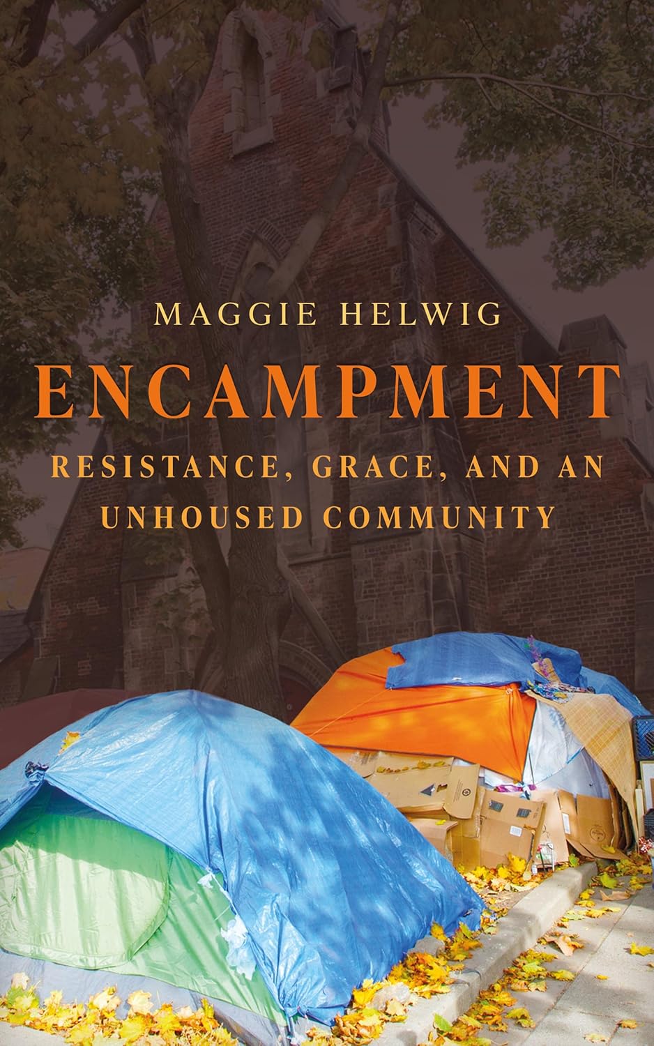 Book cover of Encampment