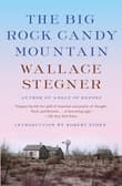 Book cover of The Big Rock Candy Mountain