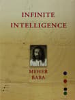 Book cover of Infinite Intelligence