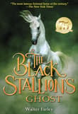 Book cover of The Black Stallion's Ghost