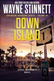 Book cover of Down Island