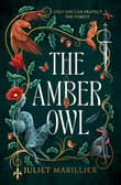 Book cover of The Amber Owl