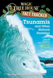 Book cover of Tsunamis and Other Natural Disasters
