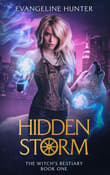 Book cover of Hidden Storm