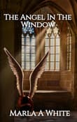 Book cover of The Angel In The Window