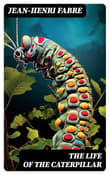 Book cover of The Life of the Caterpillar