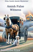 Book cover of Amish False Witness