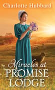 Book cover of Miracles at Promise Lodge