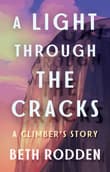 Book cover of A Light through the Cracks