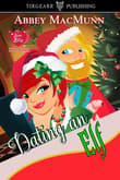 Book cover of Dating an Elf