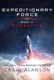 Book cover of Brushfire