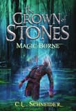 Book cover of Magic-Borne