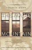 Book cover of The Magic Mountain