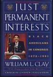 Book cover of Just Permanent Interests