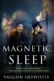 Book cover of Magnetic Sleep